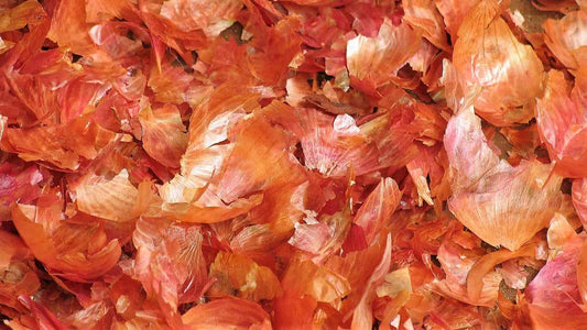 Łupiny cebuli: Złocisty surowiec w duchu niemarnowania